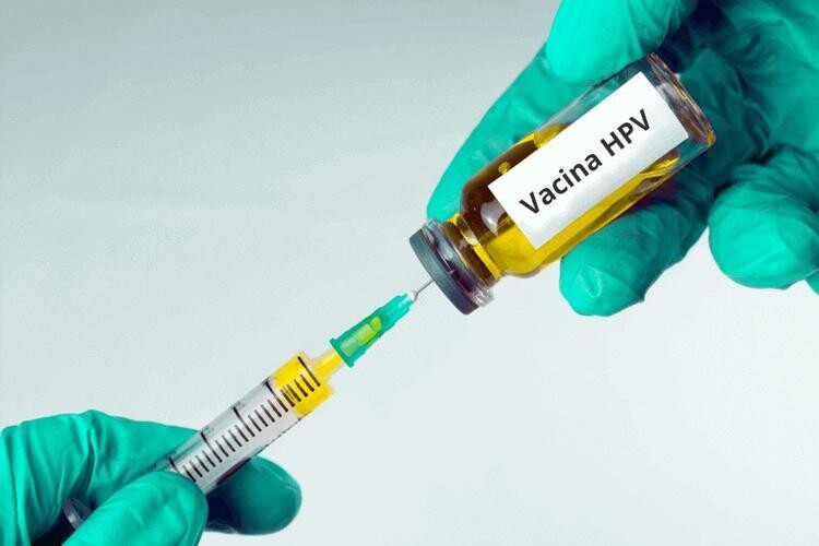 Vacina nonavalente contra HPV pode prevenir até 90% dos casos de câncer de colo de útero