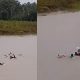 Vídeo: Canoa naufraga e deixa bebê de dois meses desaparecido no Amazonas