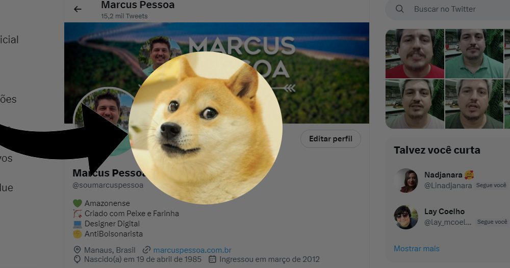 Saiba por que o Elon Musk colocou um cachorro na logo do Twitter!