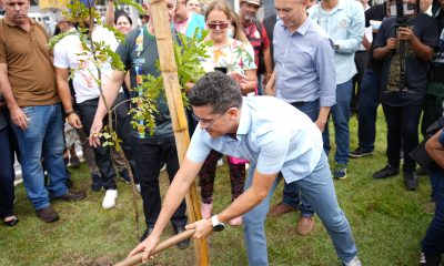Prefeitura lança aplicativo para gerenciar ações de arborização na cidade / Foto – João Viana e Dhyeizo Lemos / Semcom e Divulgação / Semmas