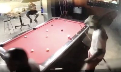Vídeo+18: Nova chacina em bar durante partida de sinuca!