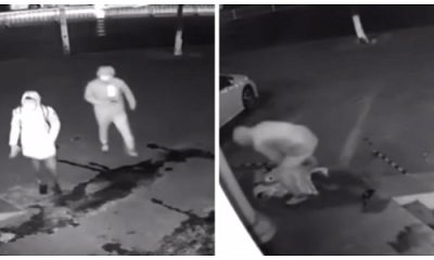 Vídeo : Ladrão se atrapalha e joga um tijolo na cabeça do parceiro que acaba nocauteado!