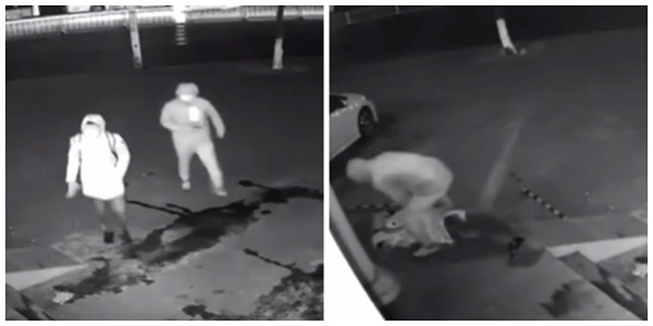 Vídeo : Ladrão se atrapalha e joga um tijolo na cabeça do parceiro que acaba nocauteado!