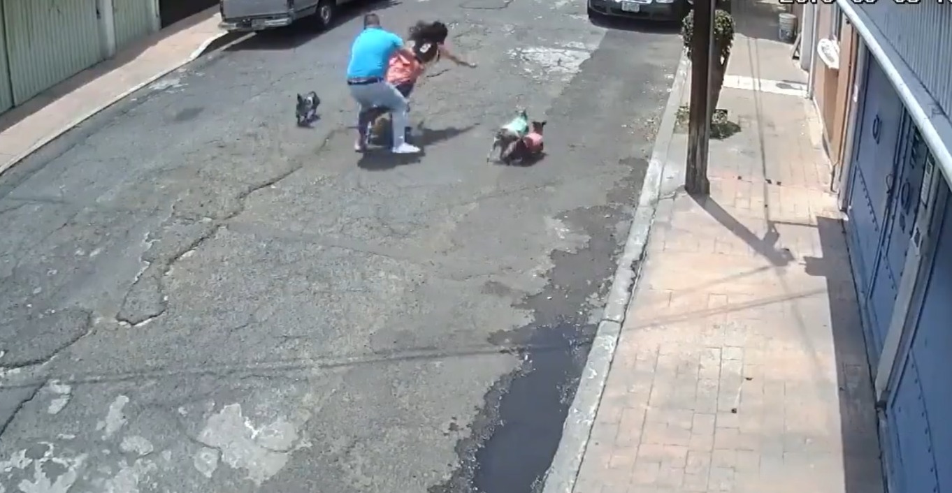 Vídeo +18: Homem agride mulher violentamente após o cachorro dela latir para os cachorros dele