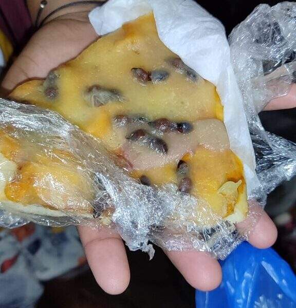 Pizza de Formiga? No Amazonas é Assim! / Foto : Anderson Silva