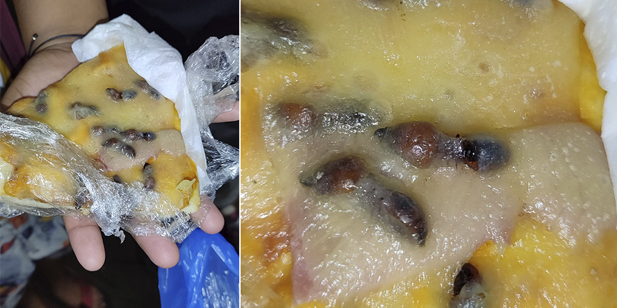 Pizza de Formiga? No Amazonas é Assim!