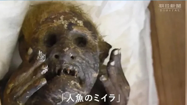Você conhece a sereia mumificada que tem mais de 300 anos?!
