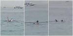 Vídeo +18: Câmera flagra homem sendo devorado por tubarão em praia