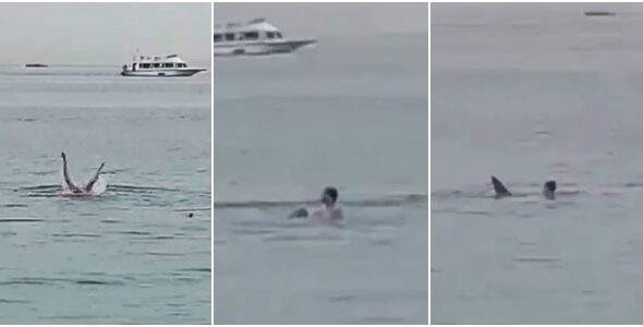 Vídeo +18: Câmera flagra homem sendo devorado por tubarão em praia