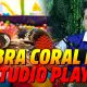 Lenda Urbana : Cobra Coral na Piscina de Bolinhas do Studio Play em Manaus