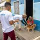 Prefeitura abre processo seletivo para 250 vacinadores da Campanha Antirrábica Animal / Foto - Divulgação / Semsa