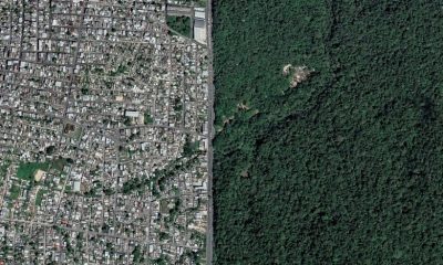 A Importância da Preservação Ambiental e a Relevância da Reserva Florestal Adolpho Ducke em Manaus / Foto : Adriano Liziero