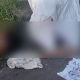 Vídeo +18: Cabeça e mão mutiladas são encontradas com bilhete em rua na zona sul de Manaus