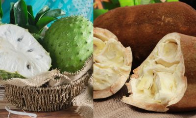 Cupuaçu e Graviola : Sabores amazônicos são destaque entre tendências de sabor