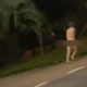 Vídeo +18 : Homem pega amante dando uma com sua mulher e faz o ricardão correr pelado pela rua!