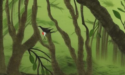 Confira a lenda do uirapuru, o pássaro encantado da Amazônia