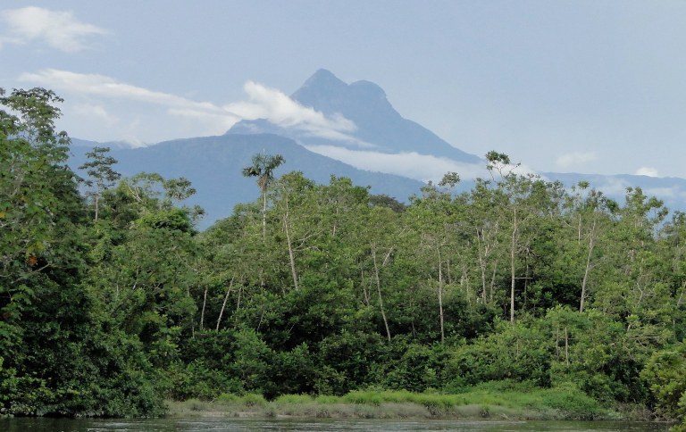 Pico da Neblina - Divulgação