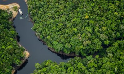 Amazonas é eleito o melhor lugar do mundo para o ecoturismo segundo a conceituada Forbes! / Foto :