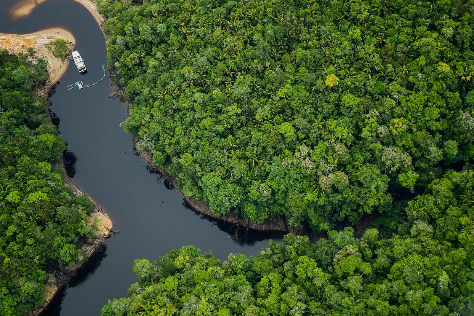 Amazonas é eleito o melhor lugar do mundo para o ecoturismo segundo a conceituada Forbes! / Foto : 