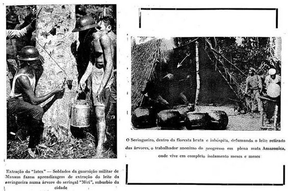A história do Seringal Mirim de Manaus