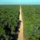 Vista aérea da BR-319 no Km 272 próximo comunidade Igapó-Açu, no Amazonas. Foto: Michael Dantas