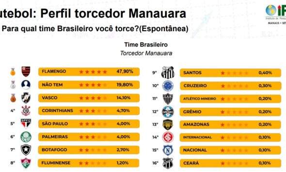 Perfil torcedor manauara / Reprodução Pesquisa IPEN