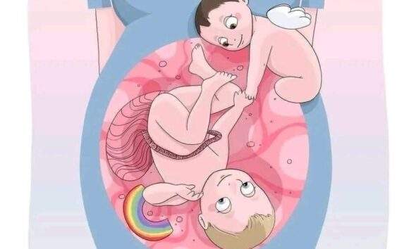 Entenda toda a magia de um Bebê Arco-Íris