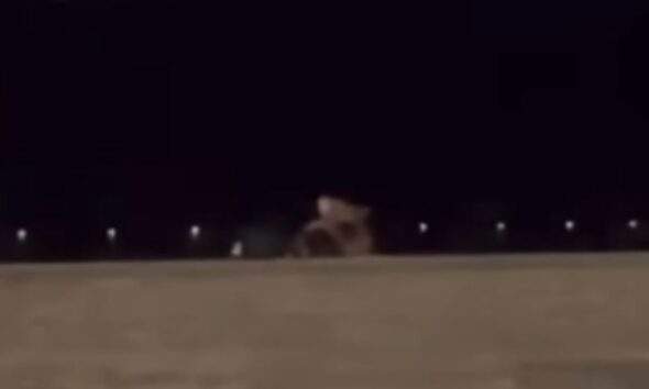 Vídeo +18: Momentos antes de ser interditada, casal se despede das areias da Praia da Ponta Negra fazendo amor