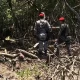 Mulheres foram torturadas e decapitadas em área de mangue na Grande Fortaleza — Foto: TV Verdes Mares/Reprodução