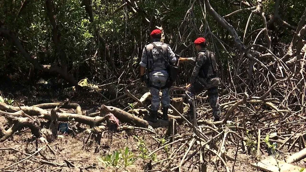 Mulheres foram torturadas e decapitadas em área de mangue na Grande Fortaleza — Foto: TV Verdes Mares/Reprodução