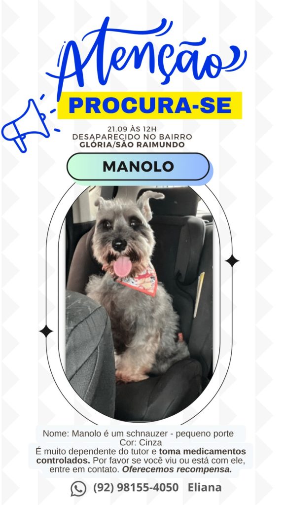 Cãozinho "Manolo" desaparece no São Raimundo e família pede ajuda. Veja vídeo