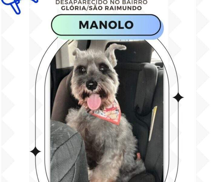 Cãozinho "Manolo" desaparece no São Raimundo e família pede ajuda. Veja vídeo