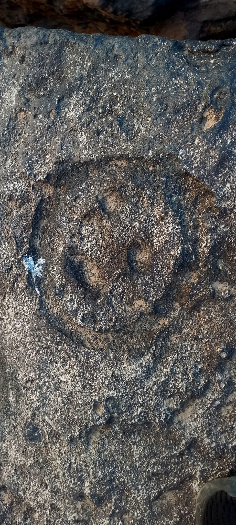 Petroglifos encontrados em Urucará. Confira a sua importância para a história do Amazonas! / Foto : Arenilton Monteiro Serrão