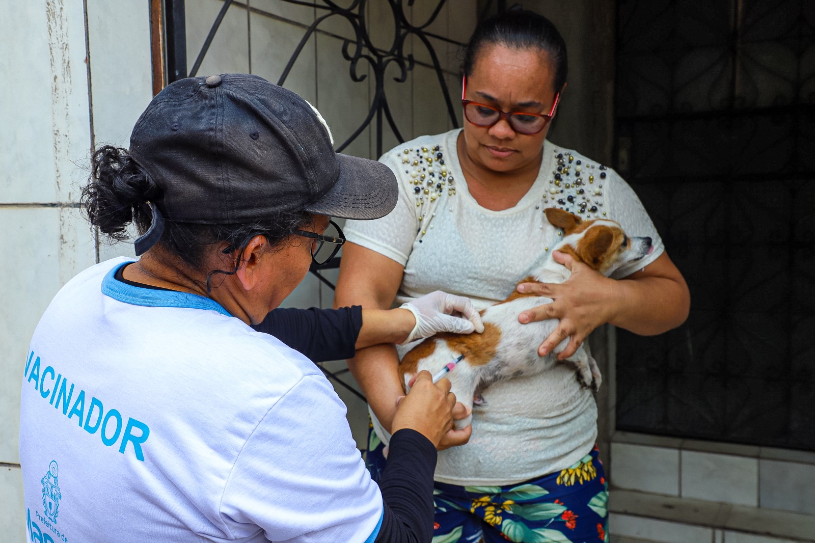 Prefeitura de Manaus segue com a vacinação antirrábica em cães e gatos  / Foto – Artur Barbosa / Semsa