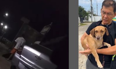Vídeo: Homem é flagrado estvprand0 cachorrinha em escada de residência em Manaus