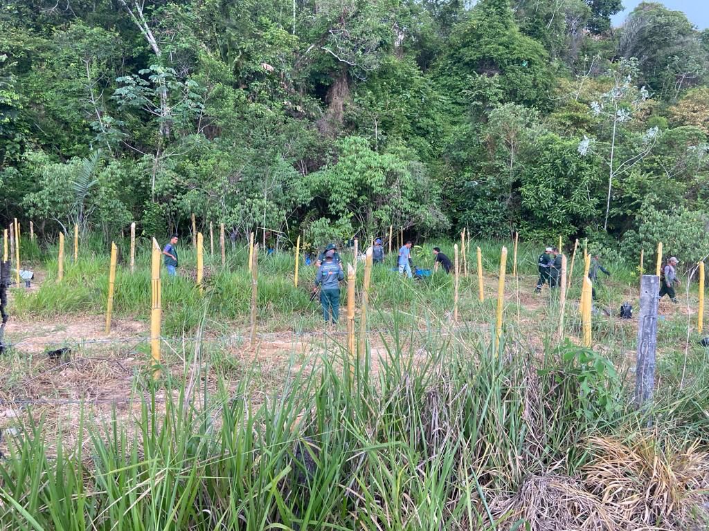Em nova ação de arborização, Prefeitura planta mais de 500 mudas ao longo de igarapé / Foto:  Taianna Castro, Vanessa Parintins e Deyvson Braga / Semmas