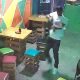 Vídeo +18 : Homem entra armado com fuz1l toca o terror em bar! Veja o vídeo