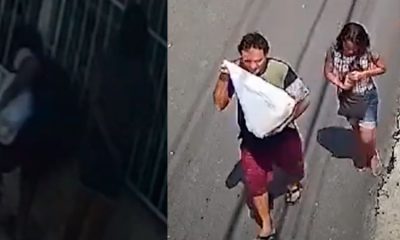 Vídeo : Câmera flagra momento em que casal furta cachorro de uma residência através do portão e leva numa sacola
