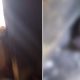 Vídeo +18 : Após denunciar traficantes, homem sofre represália e queimam sua casa e sua cadela em Manaus