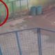 Vídeo mostra o momento em que homem é baleado na cabeça em lava a jato em Parauapebas no Pará