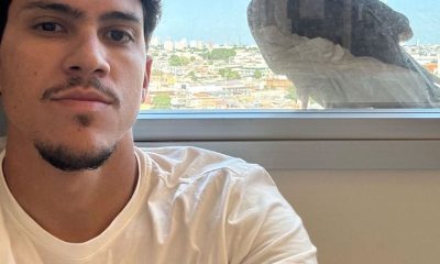 Pedro do Flamengo é acordado por um Urubu na janela do seu quarto no hotel em Manaus!