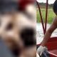 Vídeo +18 : Militar do Corpo de Bombeiro recolhe pedaços de homem das águas do Lago do Puraquequara