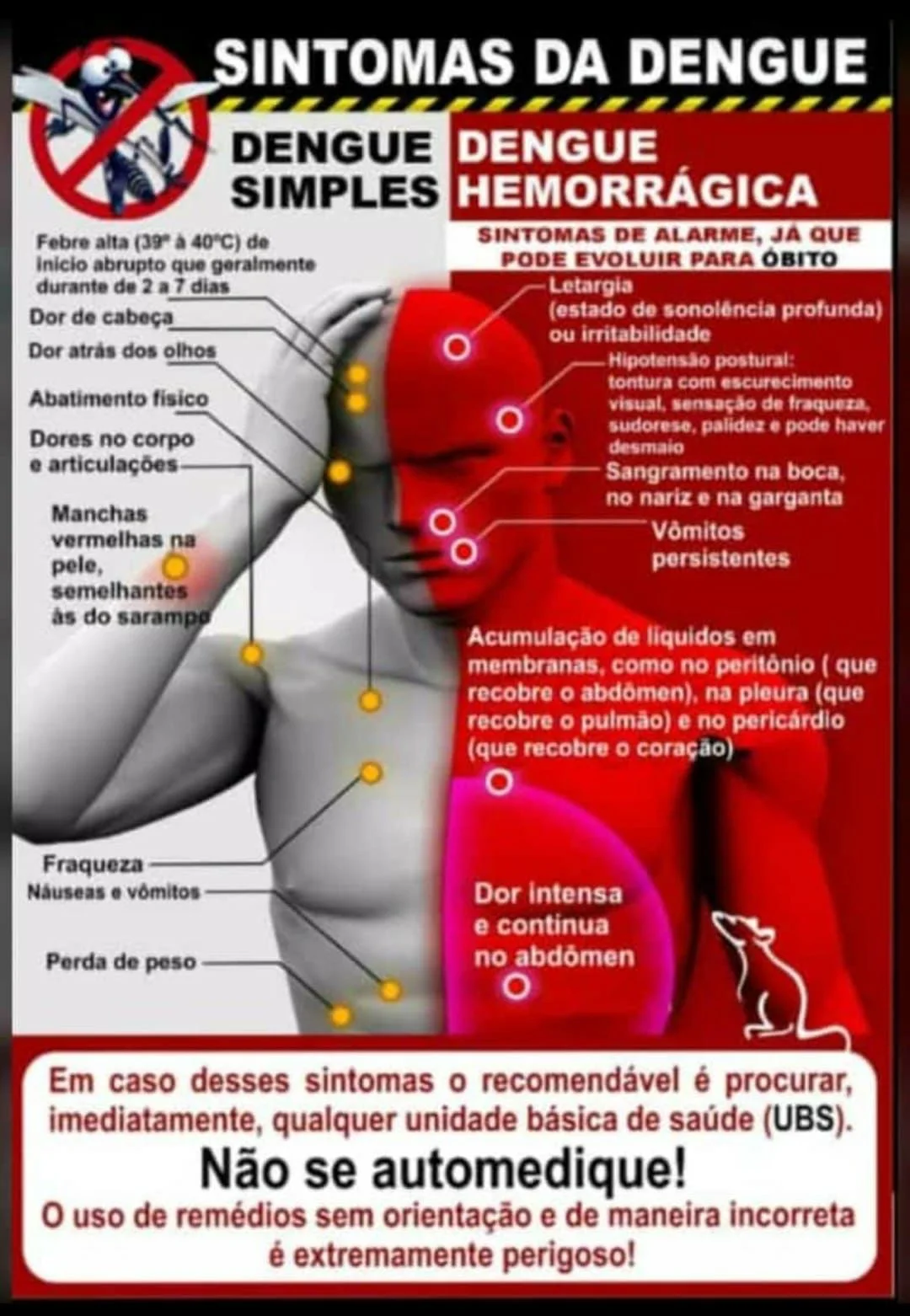 Os principais sintomas da dengue