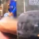 Vídeo flagra momento em que policial da Rota é surpreendido e baleado no rosto durante patrulhamento!
