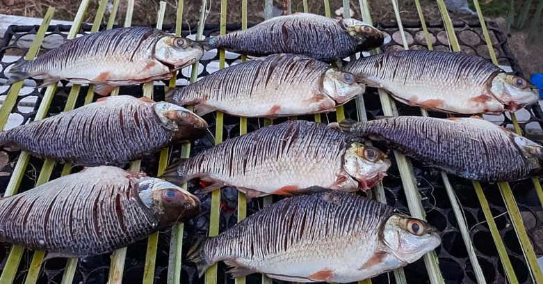 Jaraqui na Brasa é uma comida típica do Amazonas / Foto : Divulgação