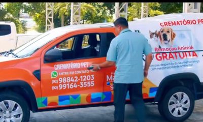Prefeitura de Manaus lança serviço de Crematório para Pets! Saiba como acionar!