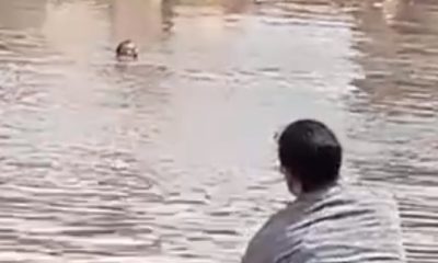 Vídeo +18 : Homem clama por socorro enquanto é filmado e acaba se afogando