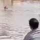 Vídeo +18 : Homem clama por socorro enquanto é filmado e acaba se afogando