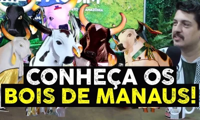 Festival Folclórico do Amazonas: Conheça os Bois-Bumbás de Manaus e suas temáticas encantadoras!