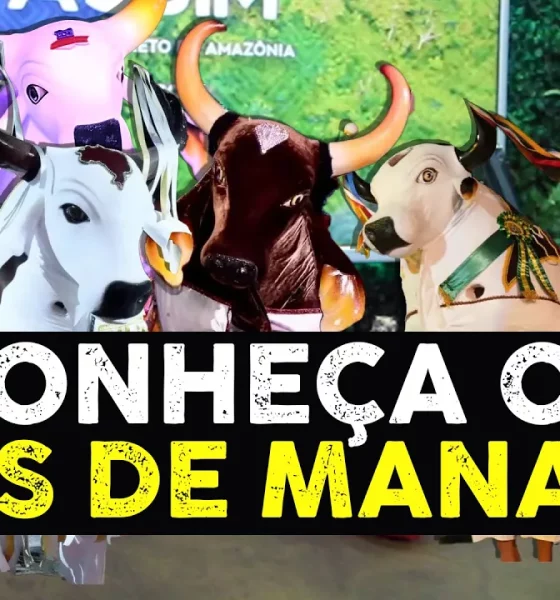 Festival Folclórico do Amazonas: Conheça os Bois-Bumbás de Manaus e suas temáticas encantadoras!